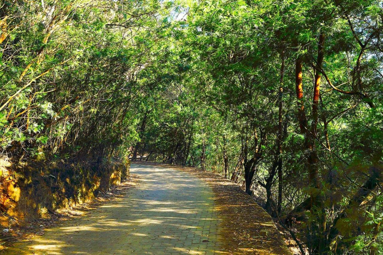 Logan Camp Ooty Coonoor Exterior foto